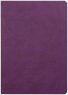 Rhodia Rhodiarama тетрадь на сшивке, фиолетовый (в точку)  A5