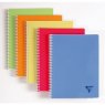 Clairefontaine Notebook Linicolor A5, в клетку