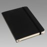 Планинг Moleskine Professional (раскладывающийся, 2012), Pocket, черный