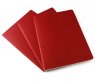 Записная книжка Moleskine Cahier (нелинованная, 3 шт.), Large, красная