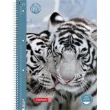 Тетрадь Brunnen Premium Fans of Earth - Tiger в линейку А4