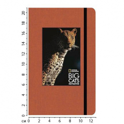 teNeues National Geographic Big Cats Large