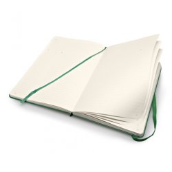 Записная книжка Moleskine Professional (в линейку), Large, зелёная