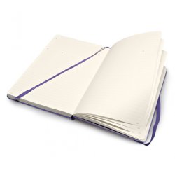 Записная книжка Moleskine Professional (в линейку), Large, фиолетовая